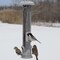 Natures Way Nature's Way Deluxe Wild Bird and Finch 1.4 qt Metal/Plastic Easy Clean Tube Bird Feeder 4 ports NMRS-18 - alternate 6